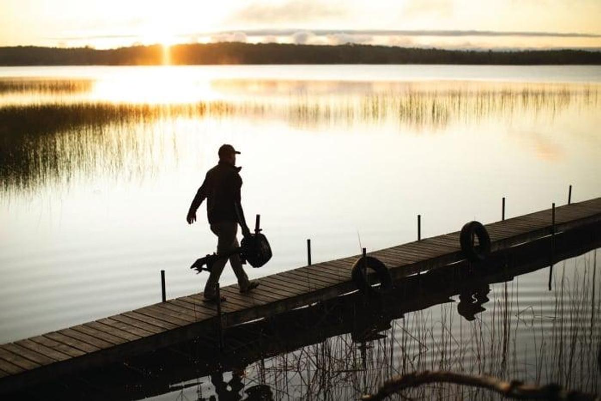 2026 Mercury FourStroke 8hp