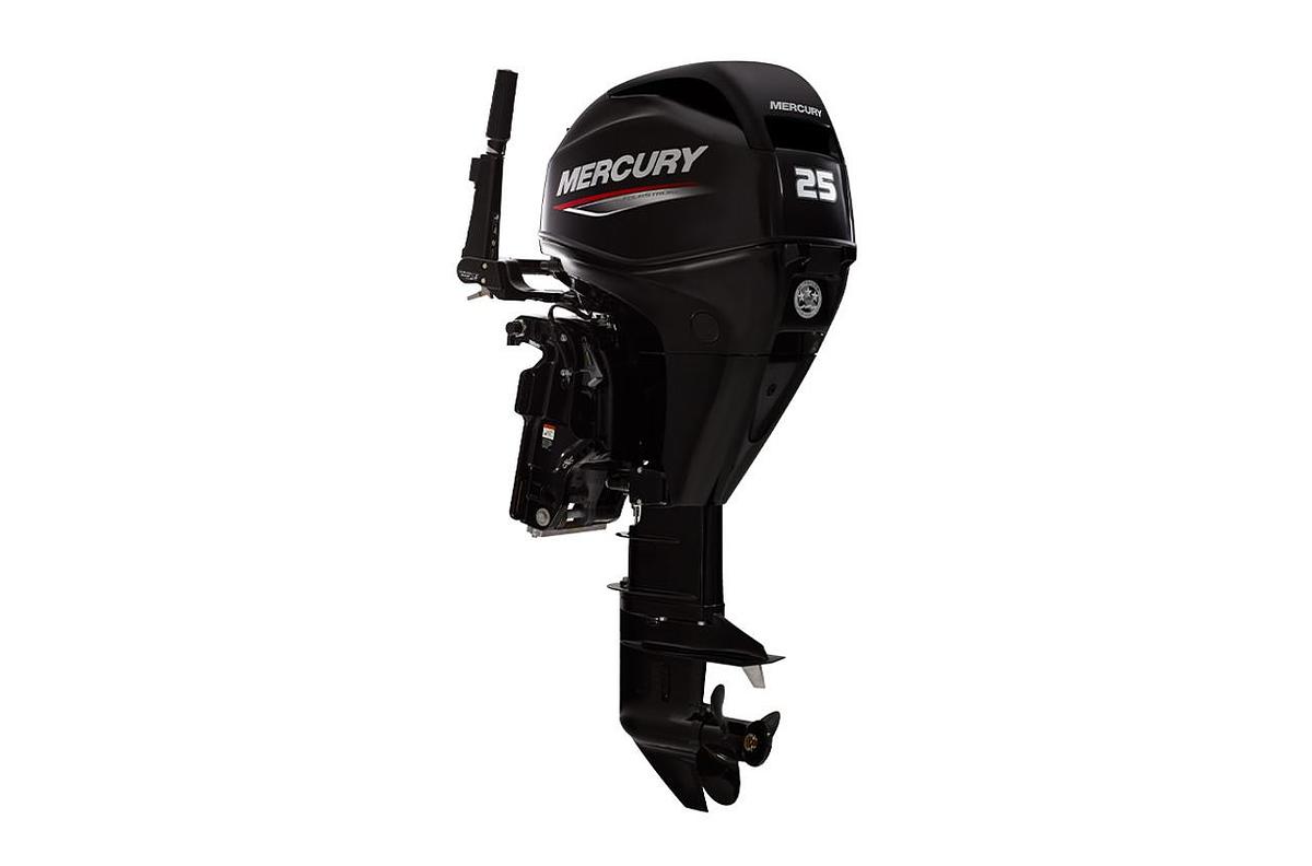 Used Mercury 25 MH