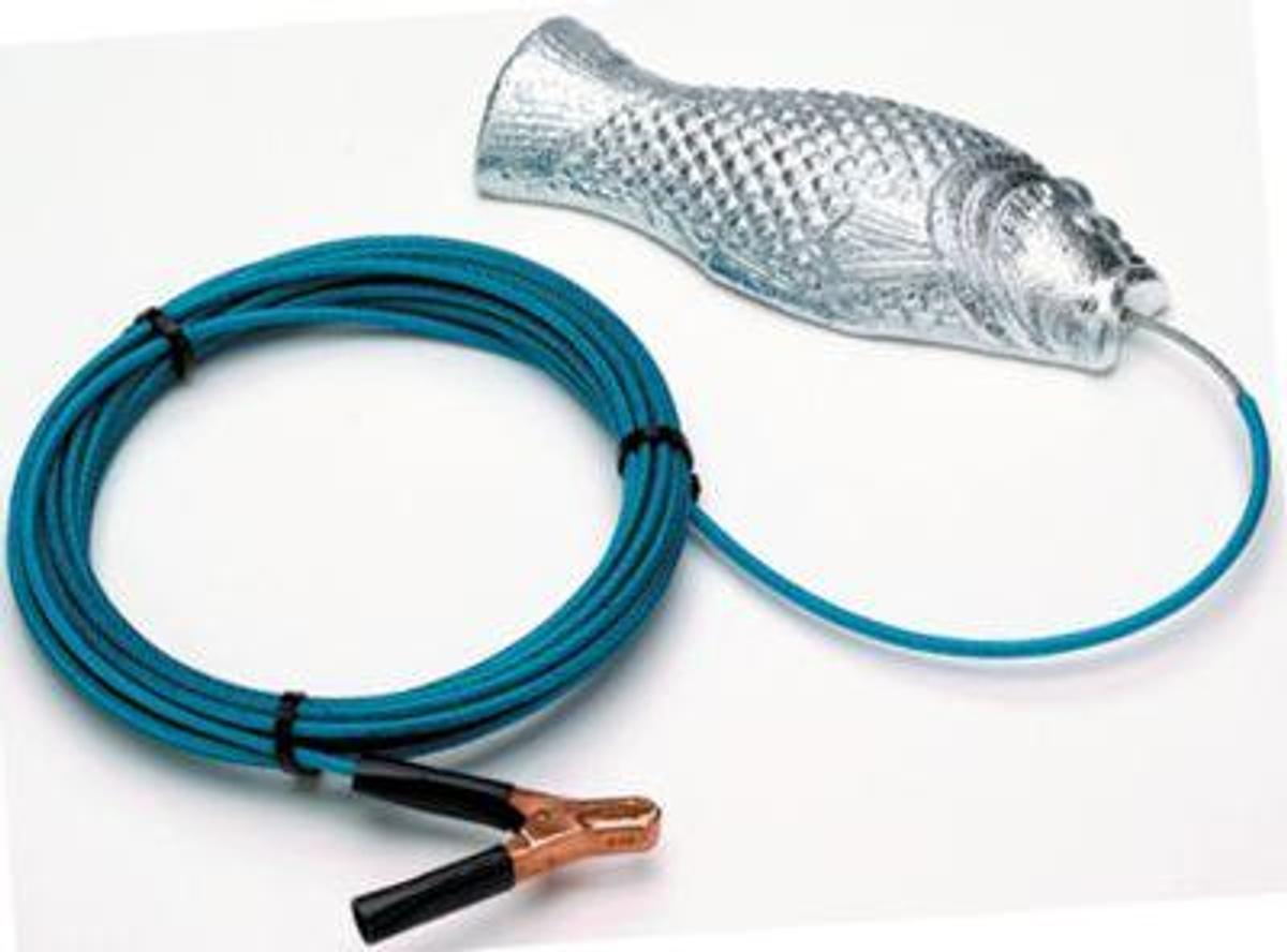 MARTYR GROUPER ANODE