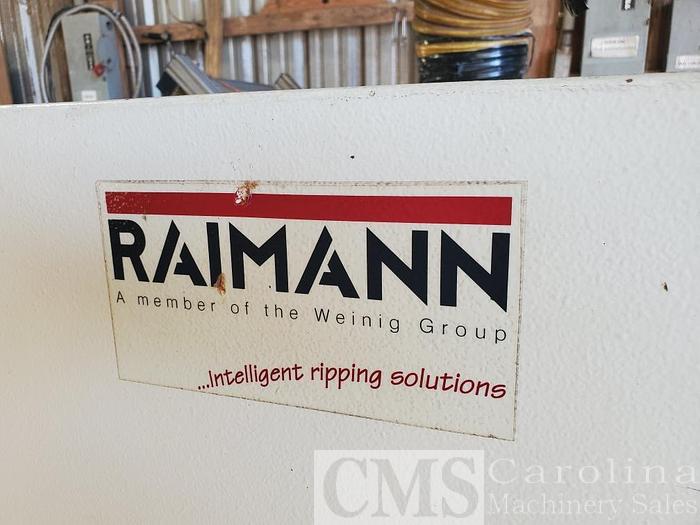 Used 2002 Raimann KM310 Rip Saw