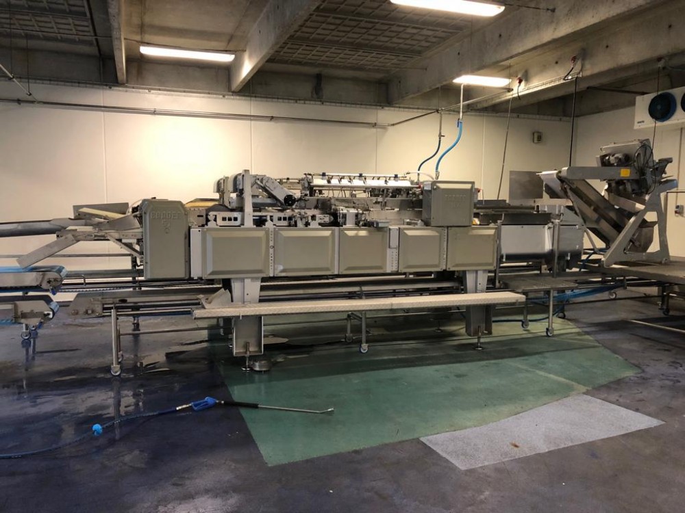 Used 2 x Baader complete cod filleting lines