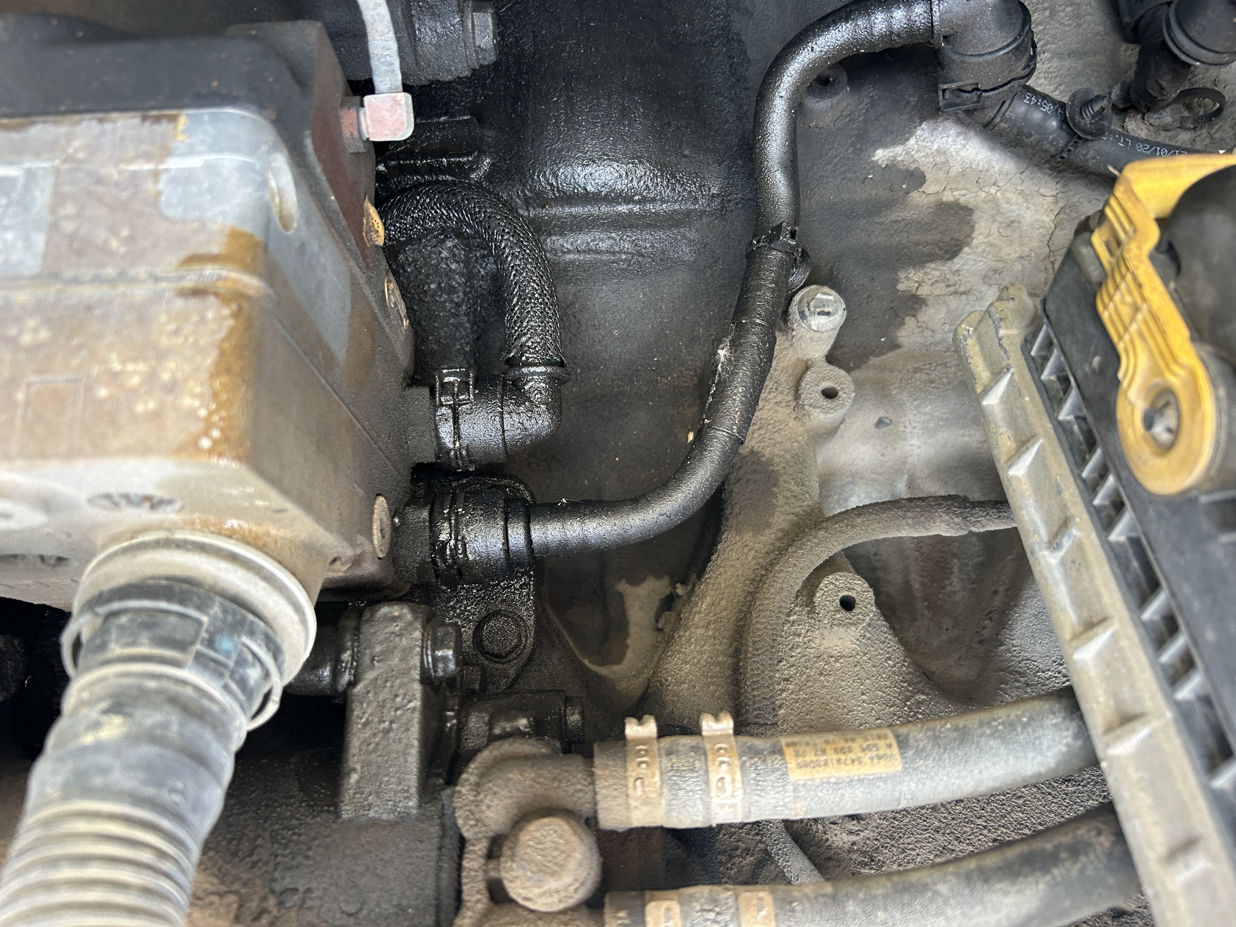 Used 2015 Bell B25E Water Truck