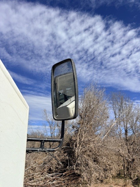 Used 2019 Prinoth Panther T14R