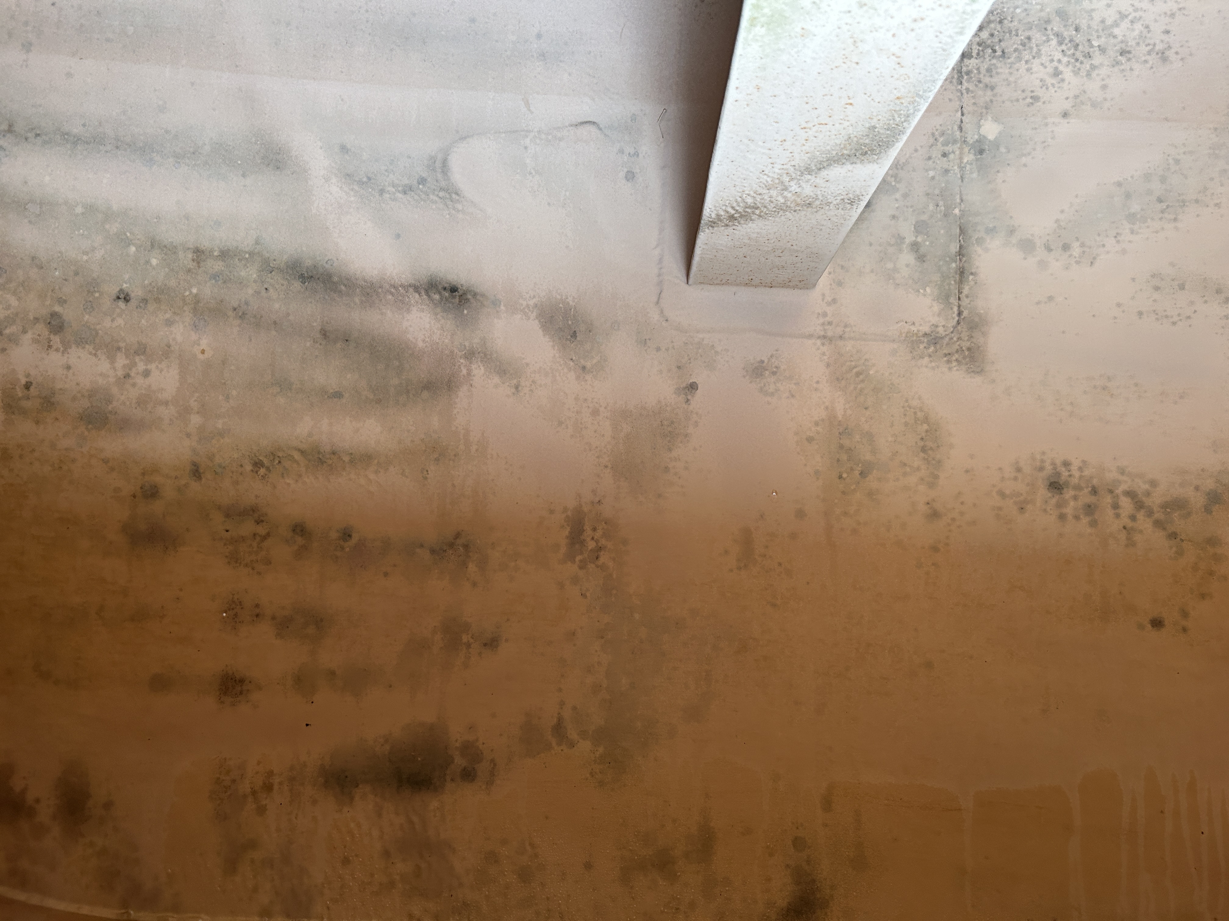 Used 2006 International 2000 Gallon Water Truck