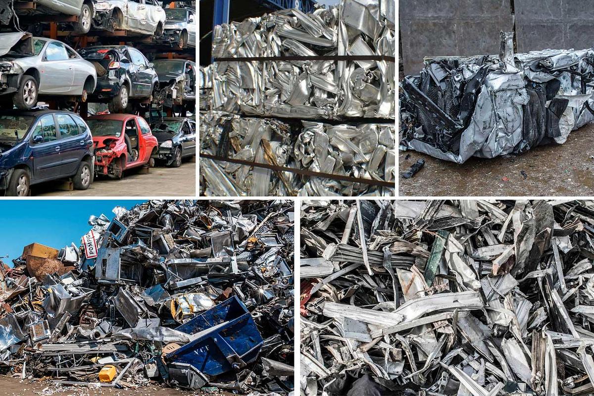 Panizzolo PSH Kraken 2300 Pre-Shredder