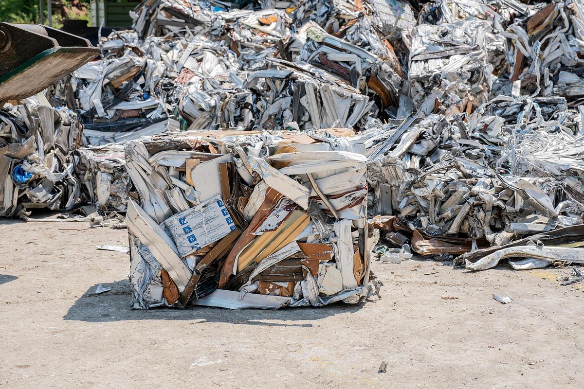 Panizzolo PSH Kraken 2300 Pre-Shredder