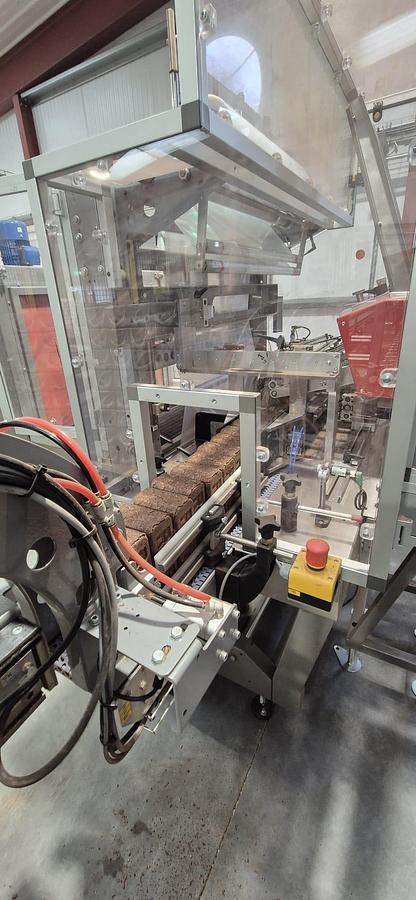 Used Wood Briquette Automatic Case Packing & Handling System