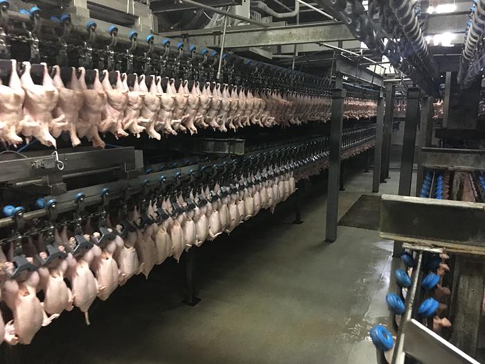2001 Chicken air chilling line – LINCO