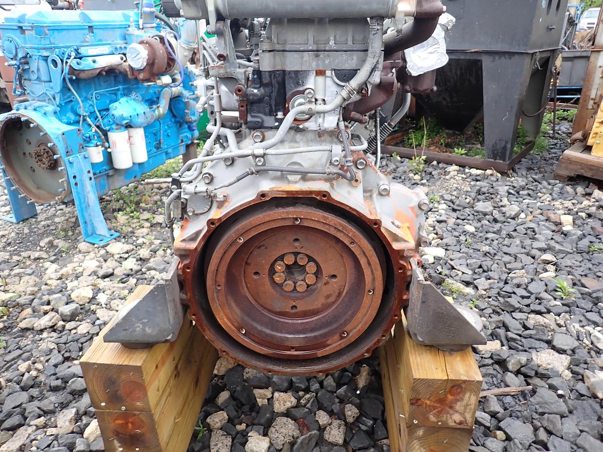 【最終値下】タヌキの剥製【6/25(水)まで】 Used 2008 Isuzu 6HK1-XDHAA-02 Diesel Engine for Sale at Old