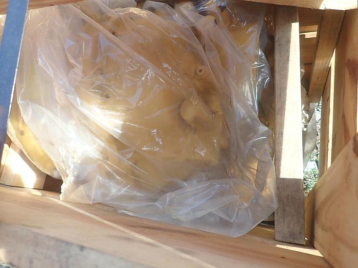 Used John Deere AT314916 FACTORY NEW ZF Transmission 4 AVAIL PG200329 410J 310J 310SJ