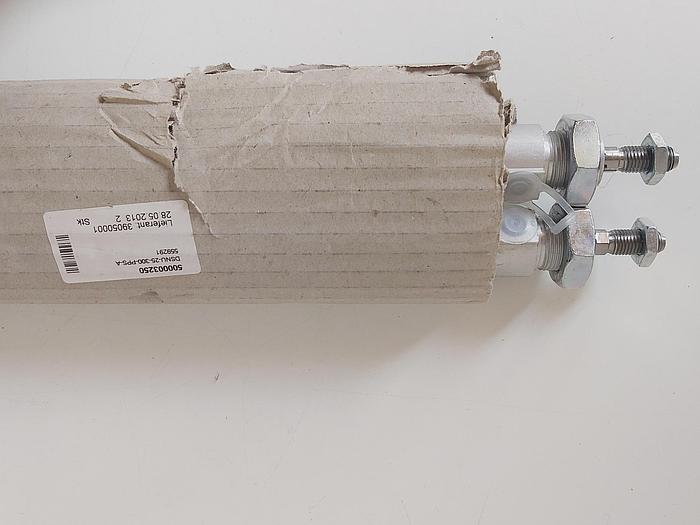 2 Stück Normzylinder, DSNU-25-300-PPS-A, 559291, Festo neu