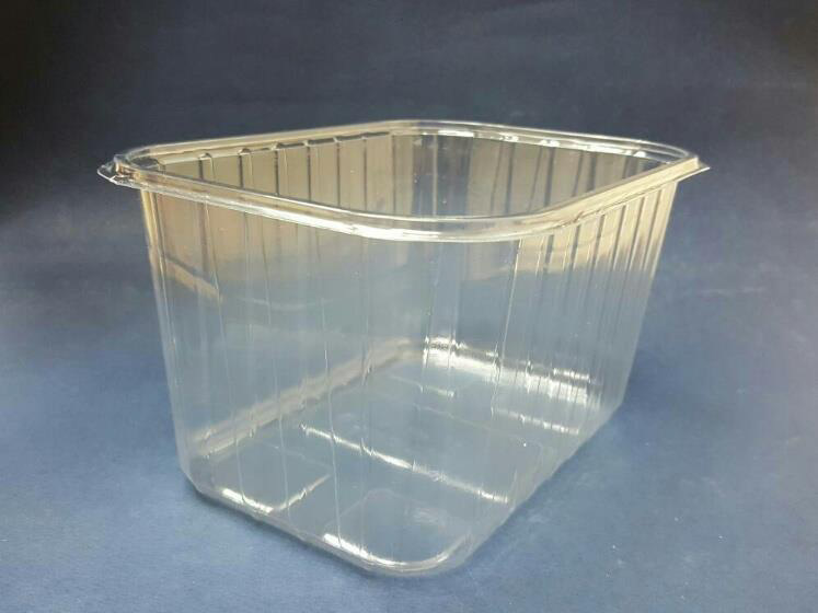 Used 2018 Kiefel PET Punnet Mould