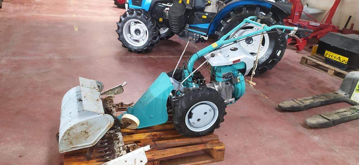 Used 2005 Bertolini 307