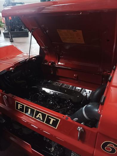 Usato Trattore Cingolato Fiat 605 C super Montagna 1980
