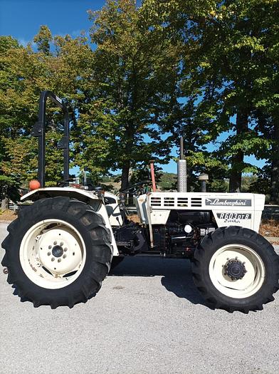 Usato Trattore Lamborghini 603 DT B