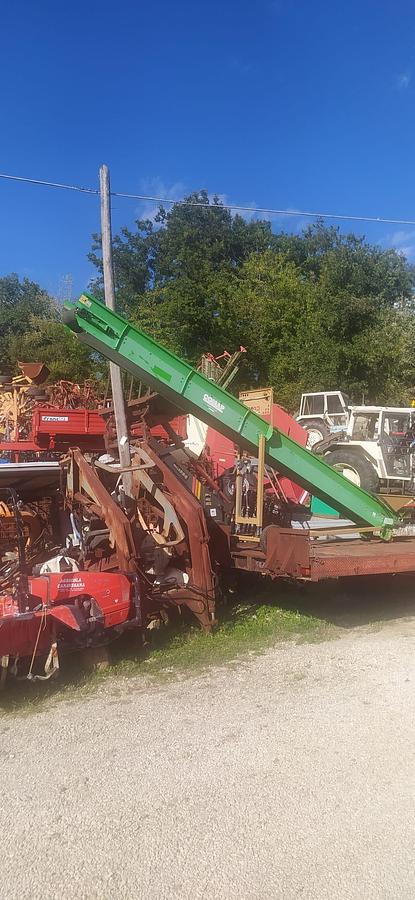 Used Nastro trasportatore per Legna Comap NT L 6x 30 6 metri