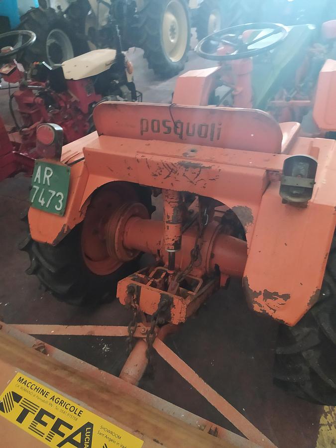 Used trattorino isodiametrico  Pasquali 995 dt