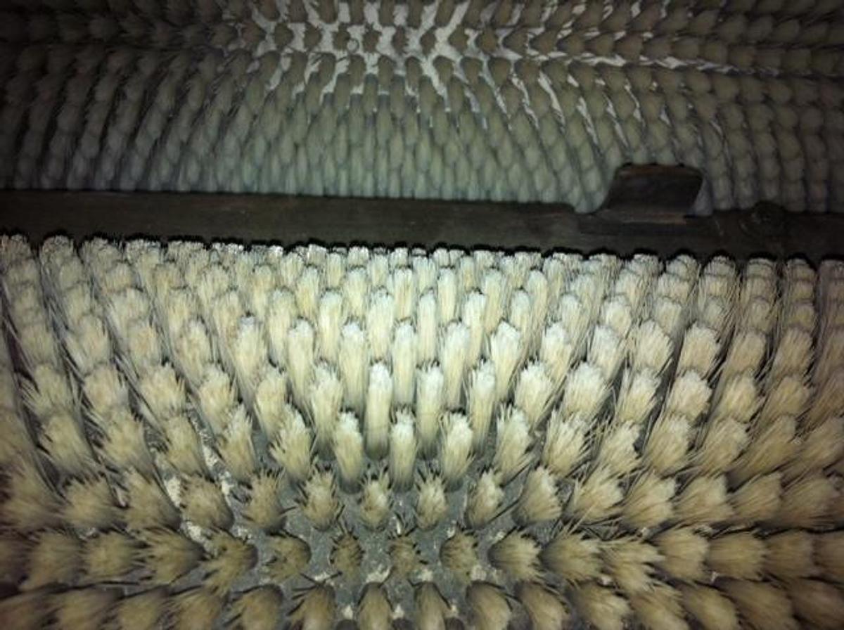 Used Distributor brushing machine Bürkle 4 brushes