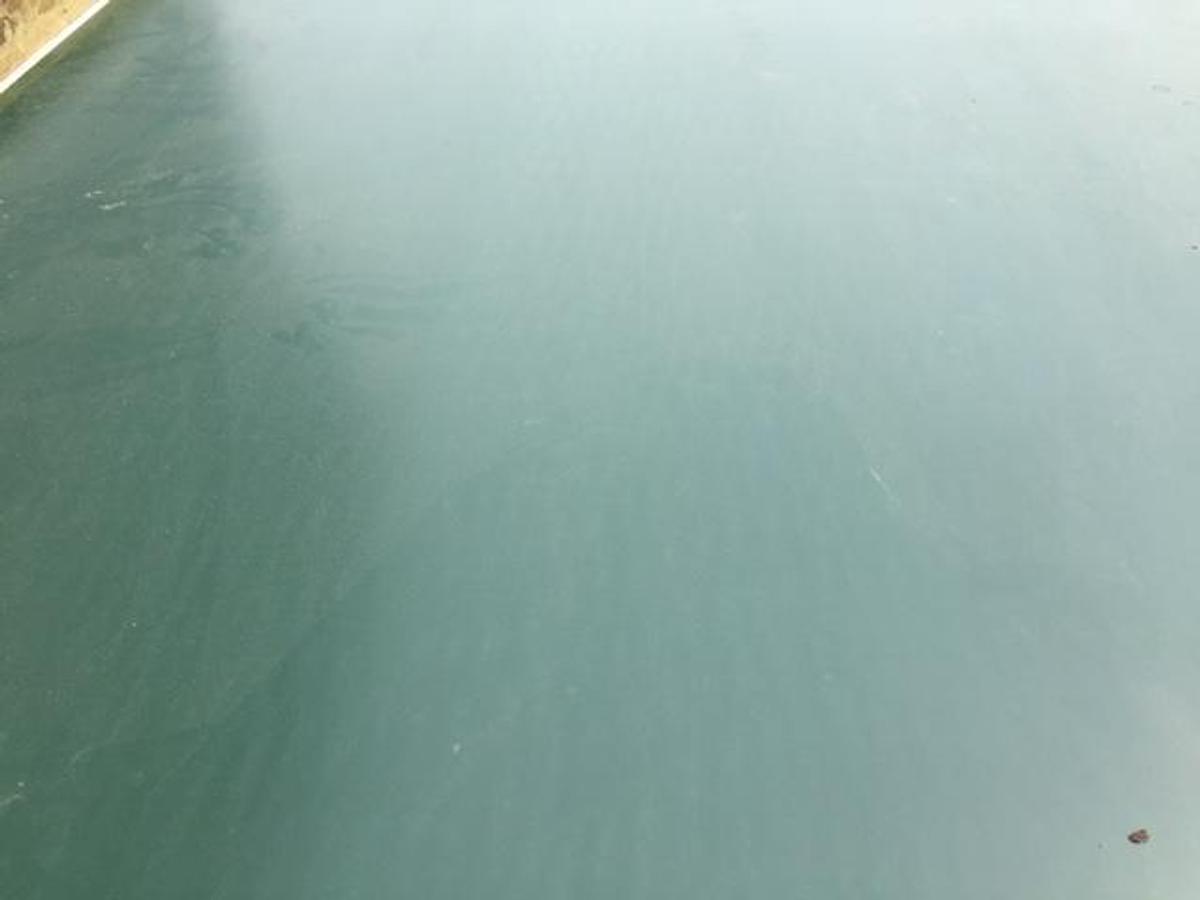 Used Gurtbandtransport Venjakob, 3000 mm WO 2