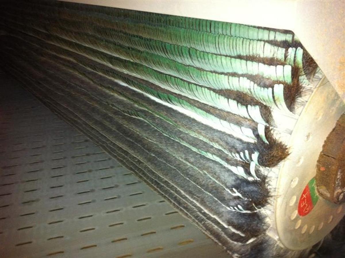 Used Bürstenschleifmaschine COSTA BF 25 - 1350  2 Heads