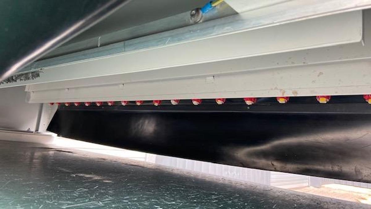 Used Entstaubung Cefla mit Gurtbandtransport