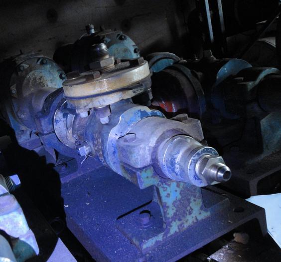 Used Pump, Moyno, 3/4 HP, 1", 316 S/st, Roper, Mdl 731025NNC209, #S618350