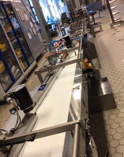 Gebraucht Horizontal-Schlauchbeutelpackmaschine THEEGARTEN-PACTEC Type FPC5-280, Baujahr: 2013.