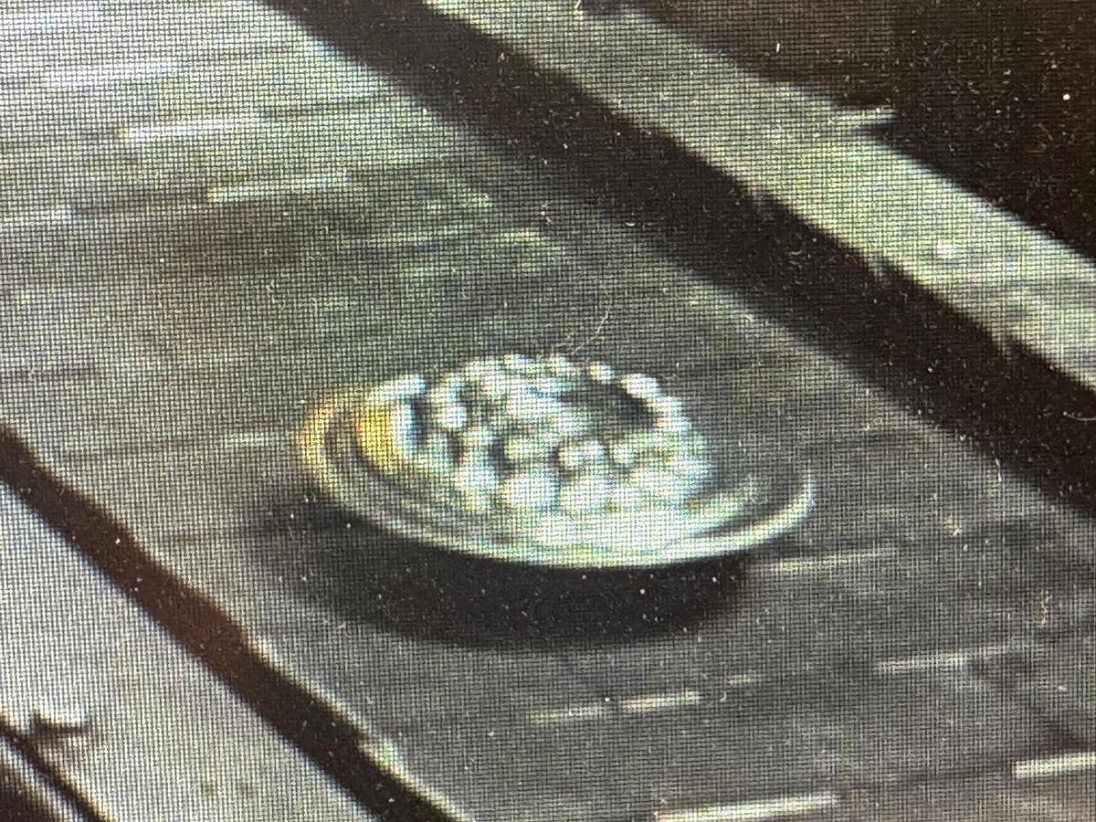 Used 800 tons Press Friction Screw Weingarten PSS225