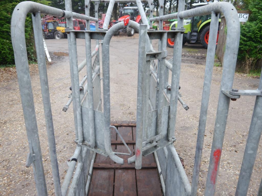 Used Loddon Cattle Crush