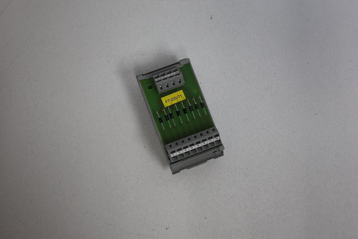 Used WAGO 289-120 Diode Module DIN Rail Mount – 8x 1N4007 – Cage Clamp – Tested Working GHA-185