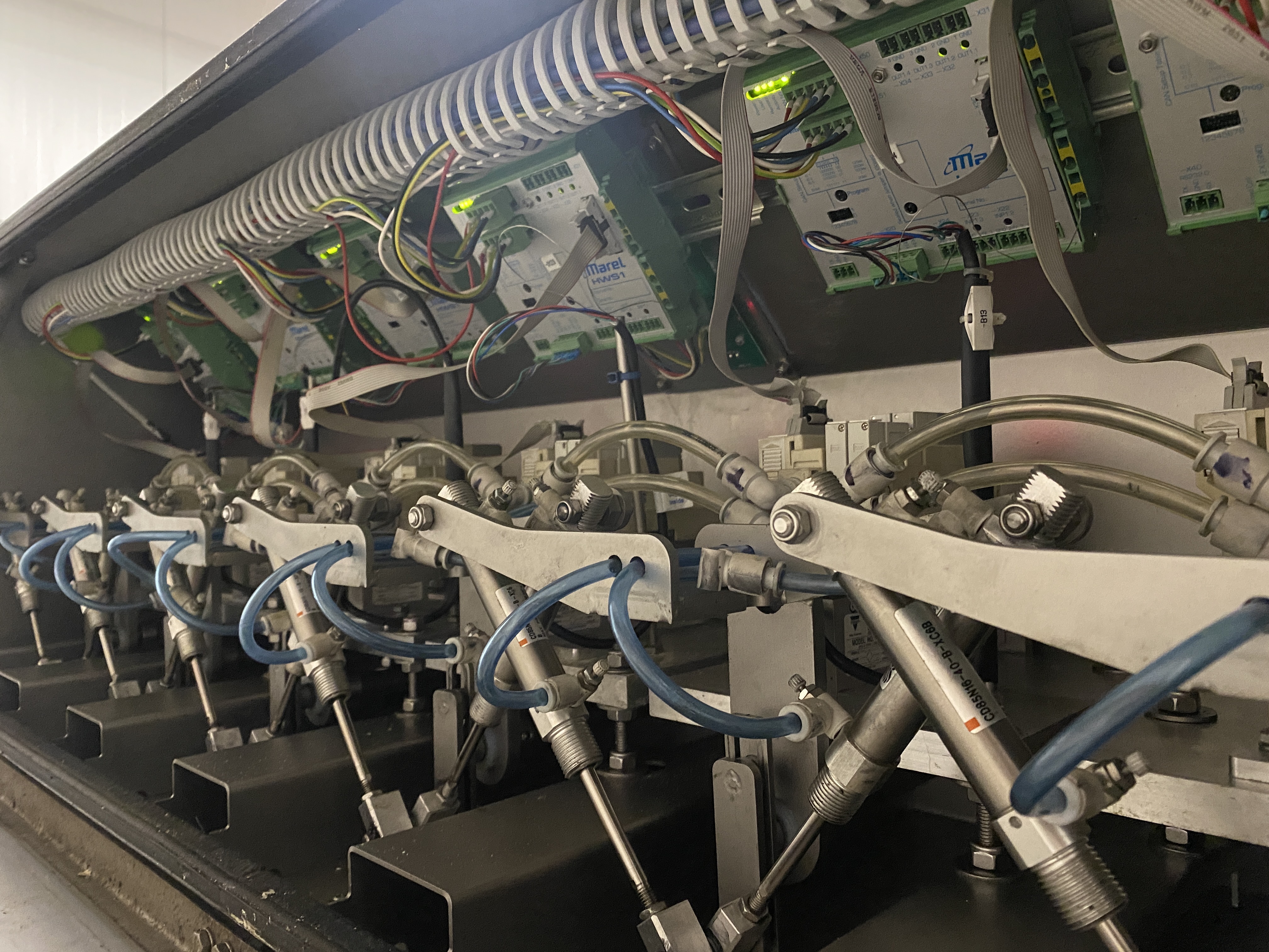 Used Marel TBL3000 Targetbatcher