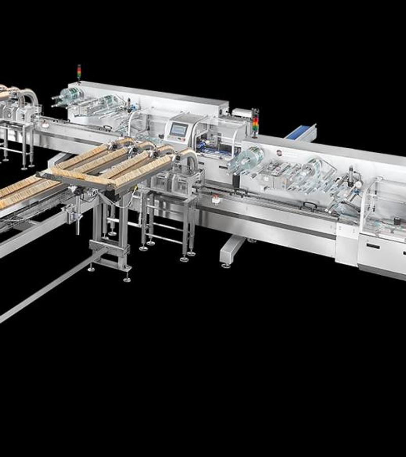 Delfin Automatic Cracker Packaging Line