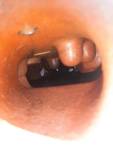 Used Pump, Vacuum, 15 HP, Liquid Ring, Travaini, 2" In/Out #S743030