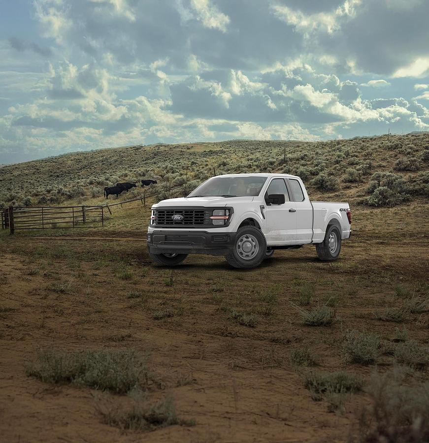 Used 1/2 Ton Rental Truck