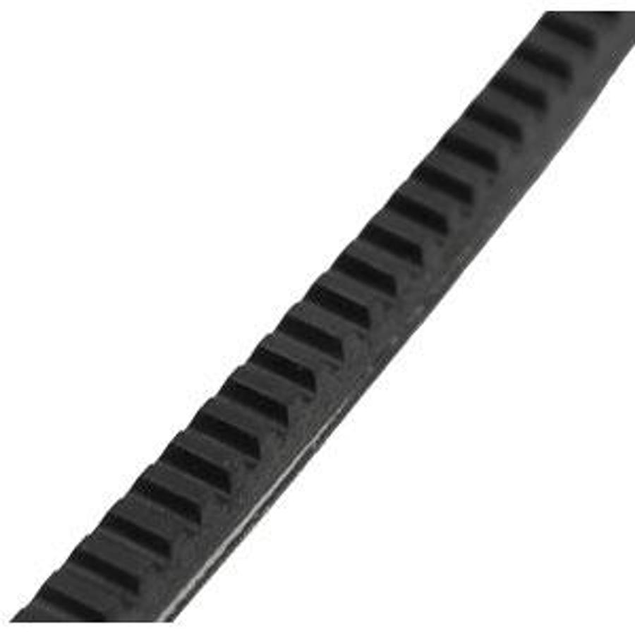 Belt, Fan