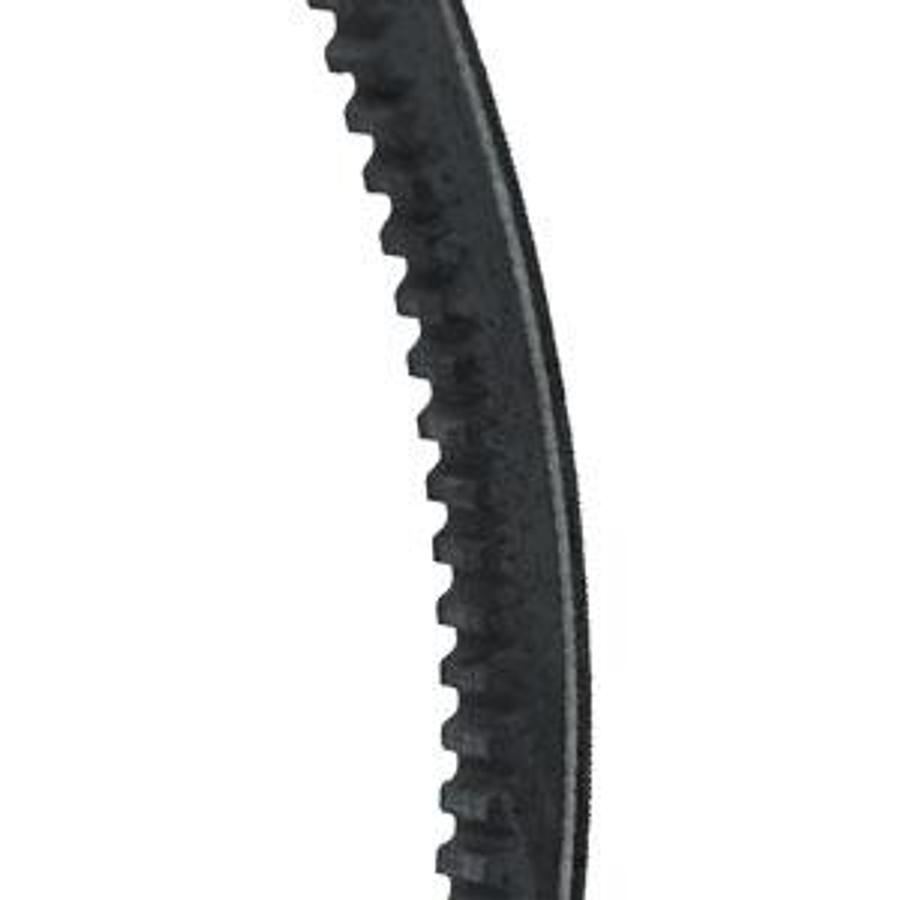 Belt, Fan
