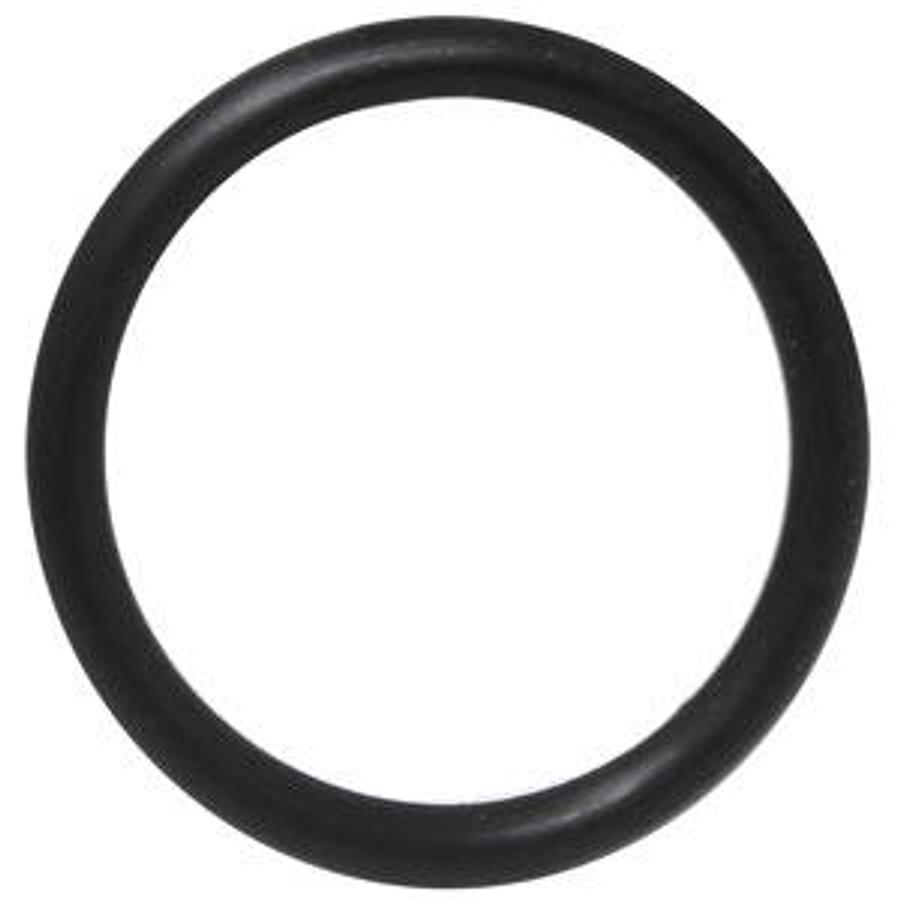 O-Ring Replacement (10 pk)