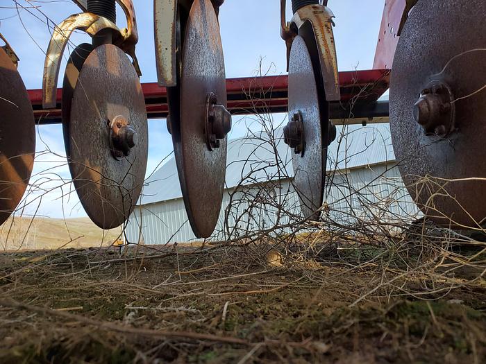 Used 36' International 510 Grain Drill