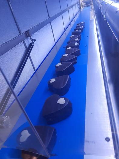 Used 2016 Selmi Cooling Tunnel