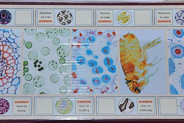 Used Student School Microscope RM-1B