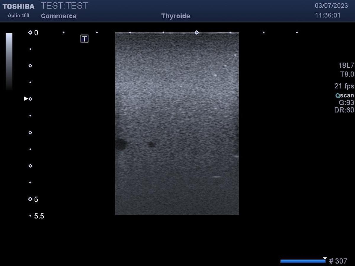 D'occasion Toshiba / Canon PLT1204BT