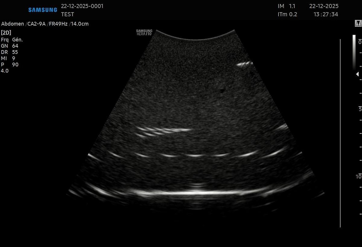 D'occasion Samsung CA2-9A