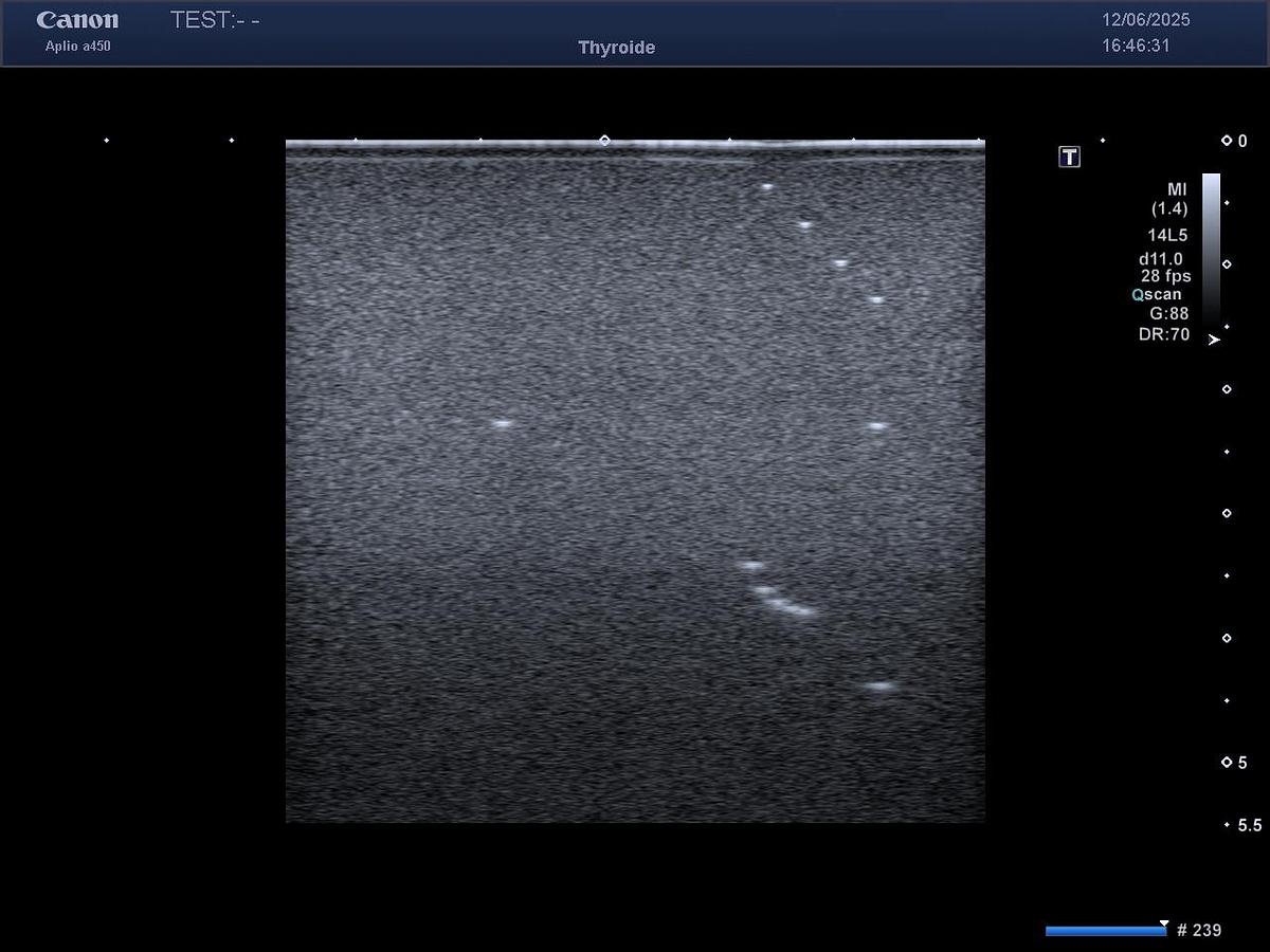 D'occasion Toshiba / Canon PLT1005BT