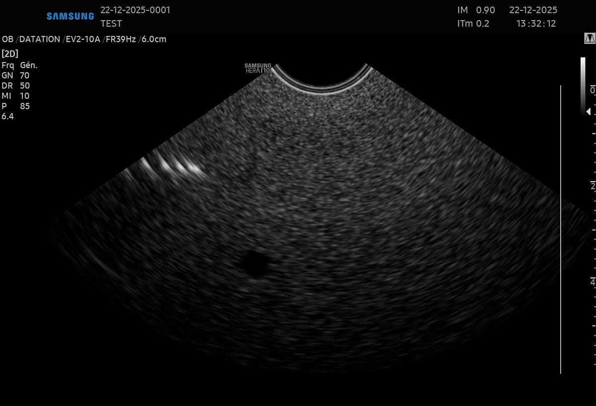 D'occasion Samsung EV2-10A