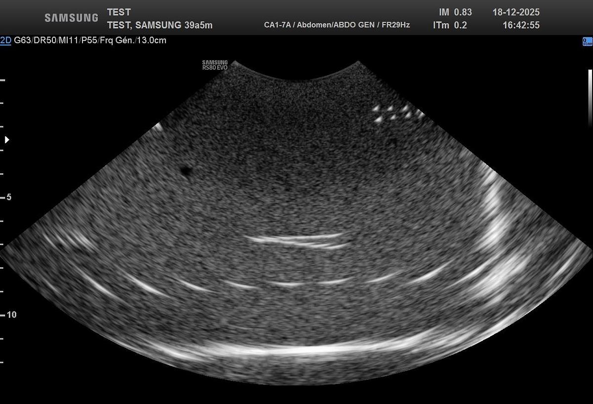 D'occasion Samsung CA1-7A
