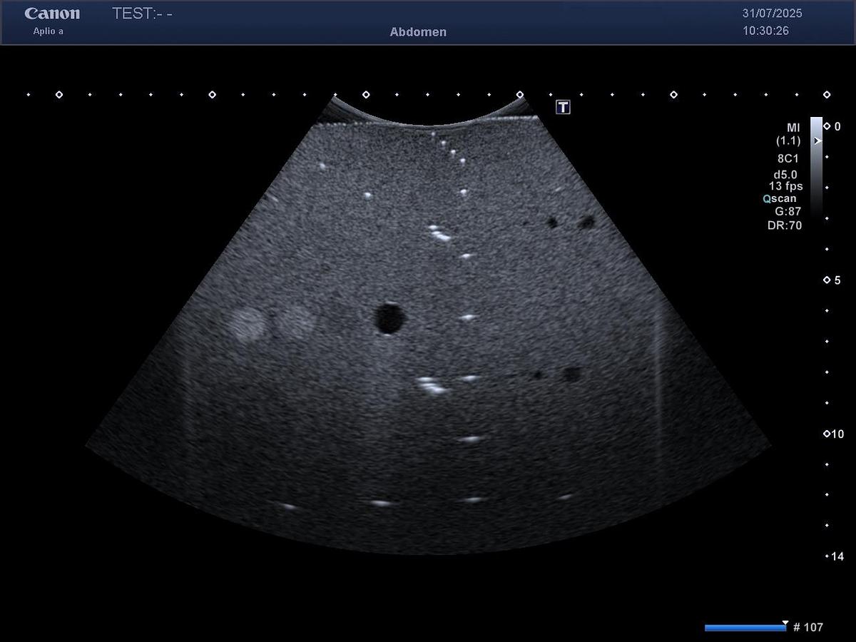 D'occasion Toshiba / Canon PVT475BT