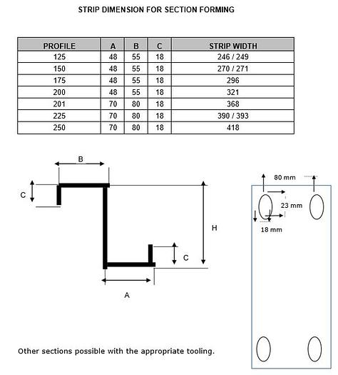 Used RODITUR C & Z-PROFILING LINE WITH PRE-PUNCHING PRESS