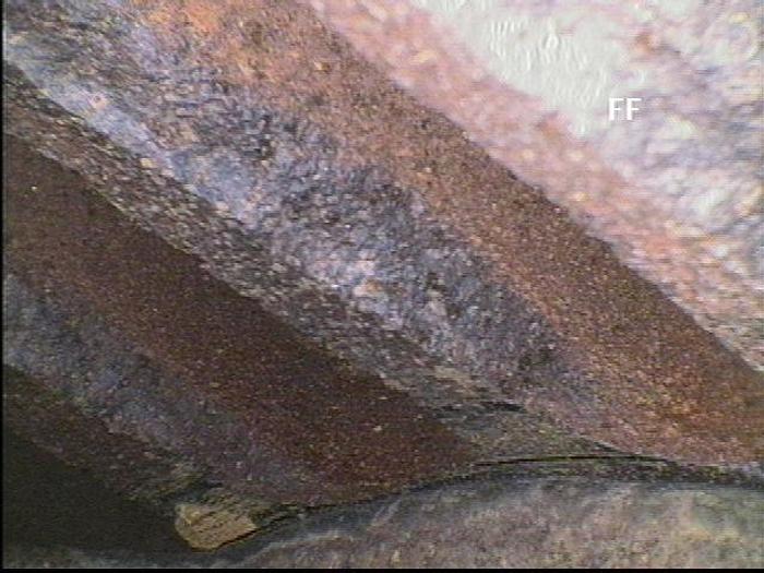 Refurbished NASH CL1001 #19585