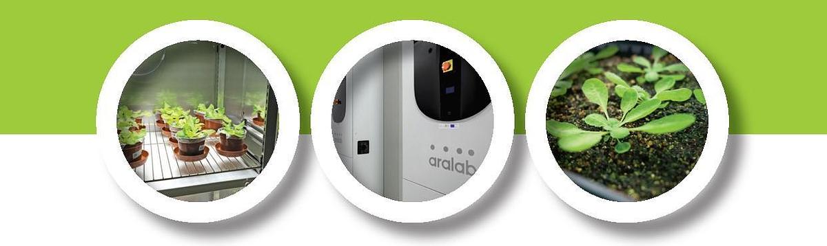 FitoClima 600 & 1200 Plant Growth Chambers