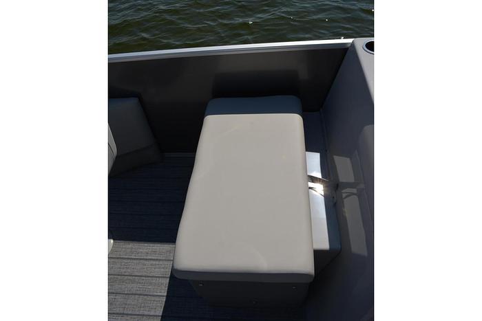 2026 SunChaser Geneva Fish 20 4